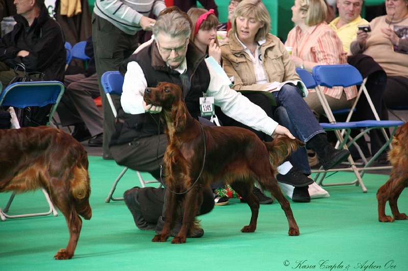 Crufts2011 078.jpg